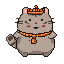 Rare Cat