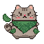 Uncommon Cat